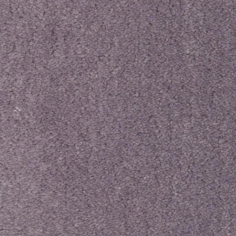 Temptation Veiled Plum