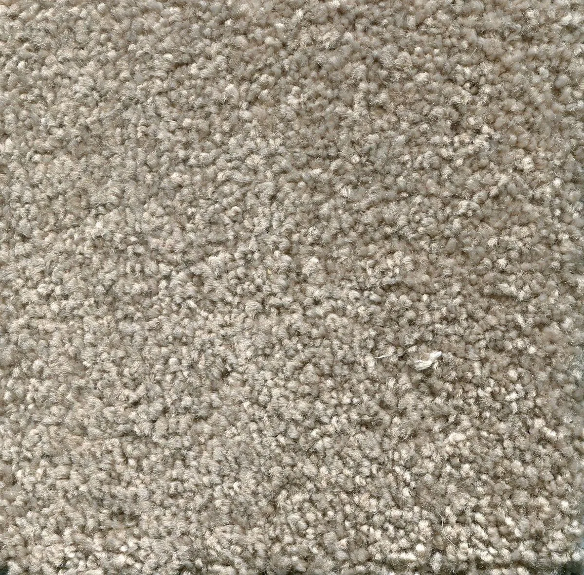 Desert Sand Argilla