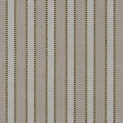 Maize