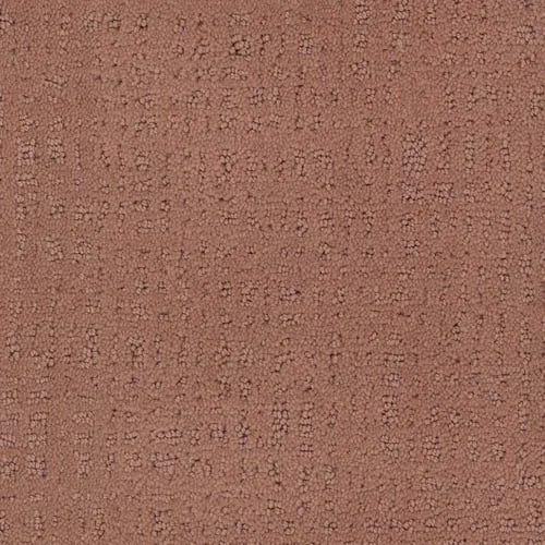 Acclaimed Strada