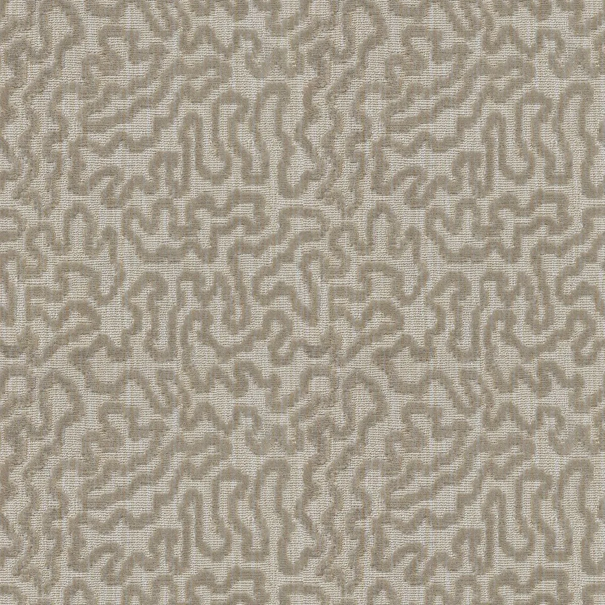 Harring Antiquity