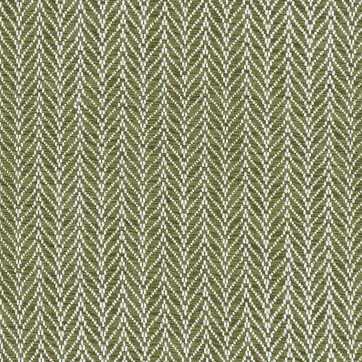 Sky Fall Fern