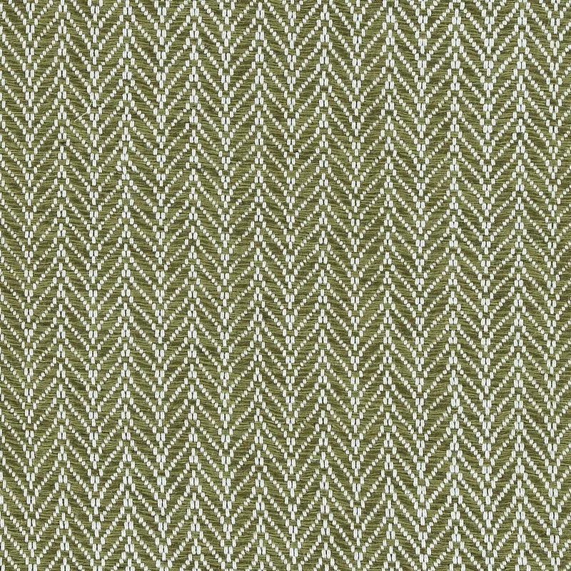 Sky Fall Fern