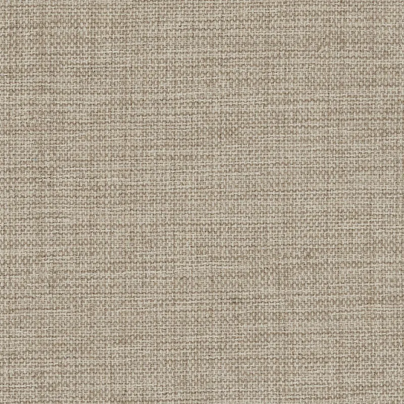 Sly Fox Beige
