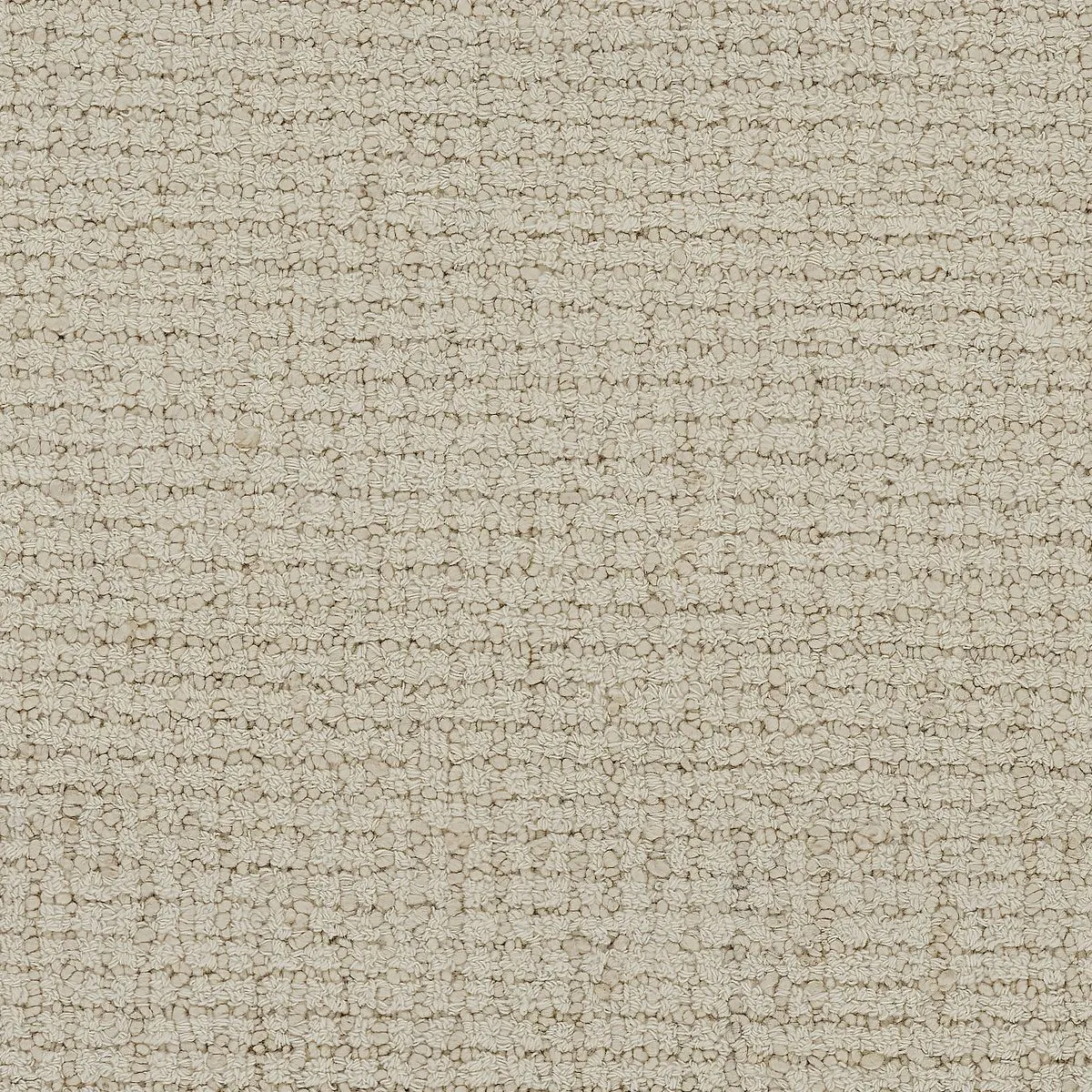 Gregarious Ivory