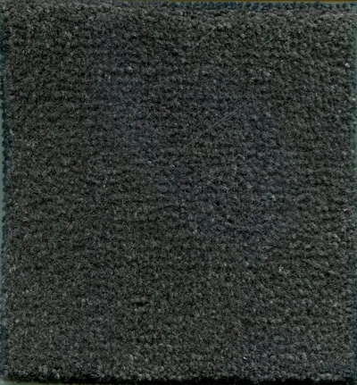 Ardesia