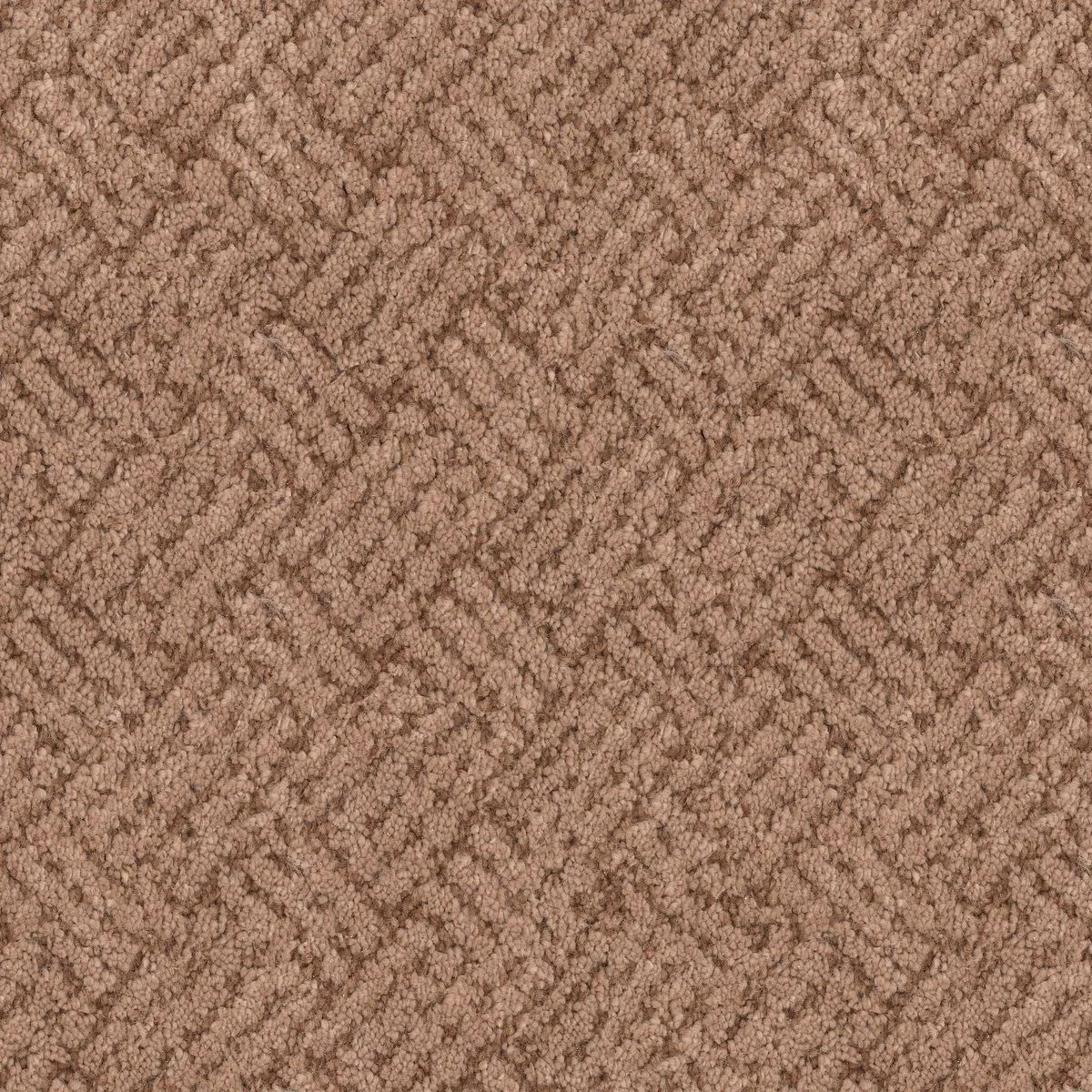 Kumeyaay Sun-Dried