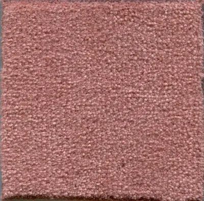 Shellpink