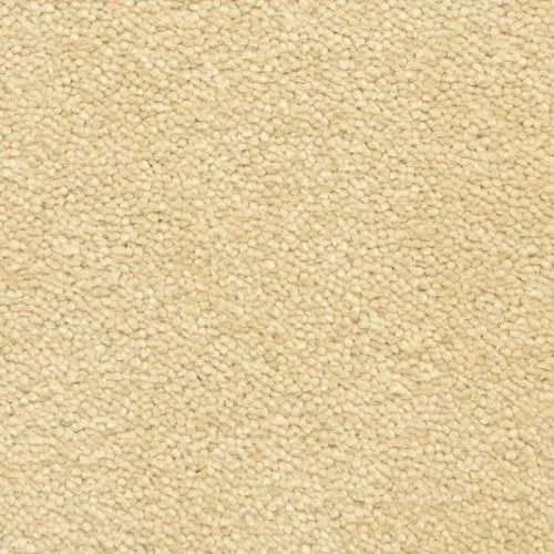 Sonoma Coast SANDSTONE