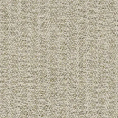 Moss