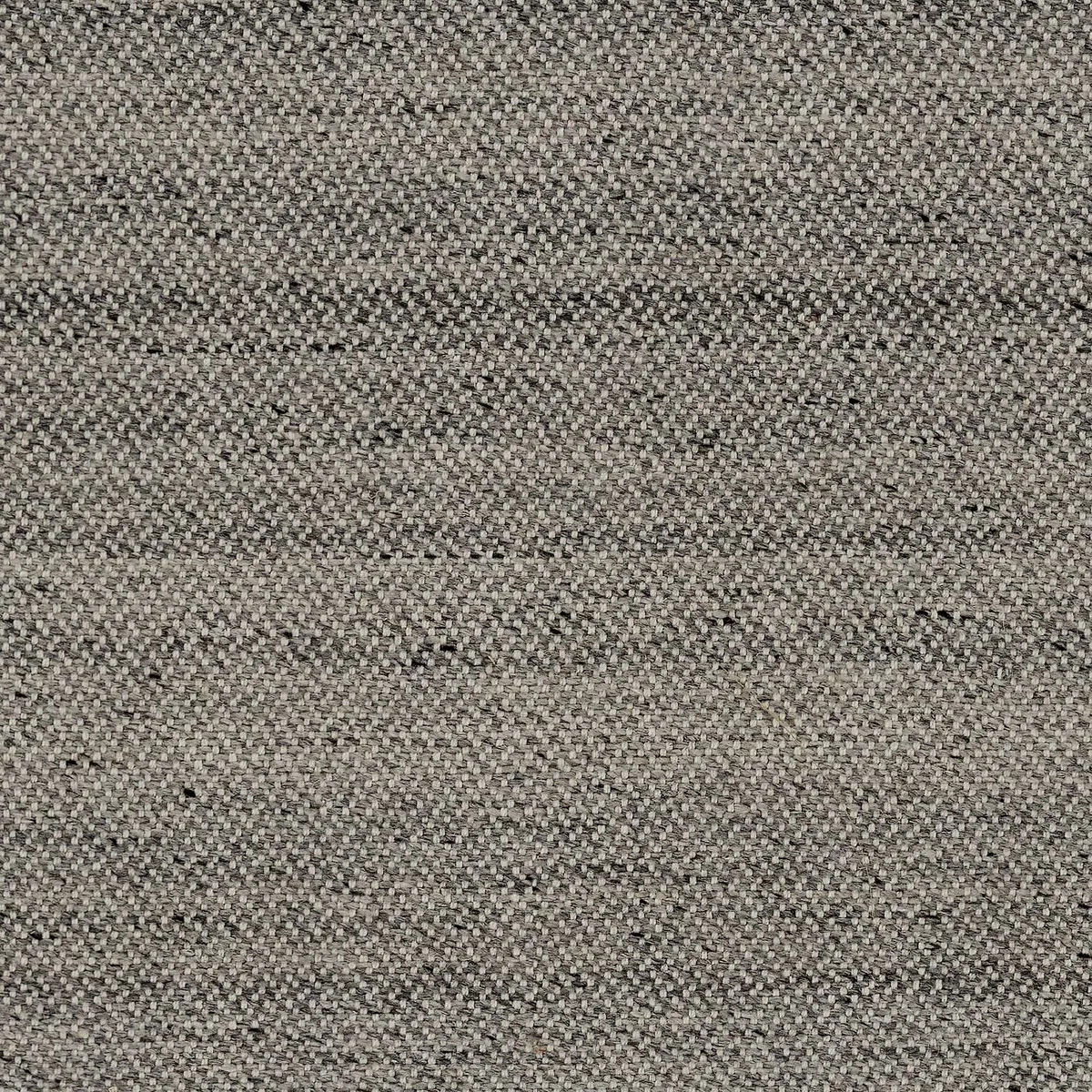 Robo Grey