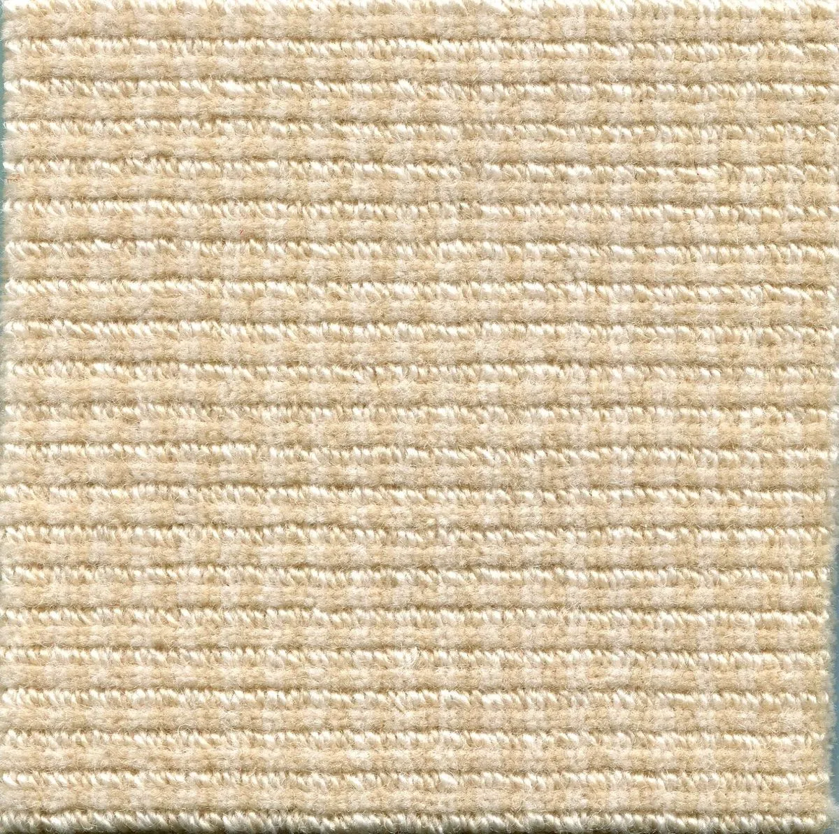 Athens Alpaca