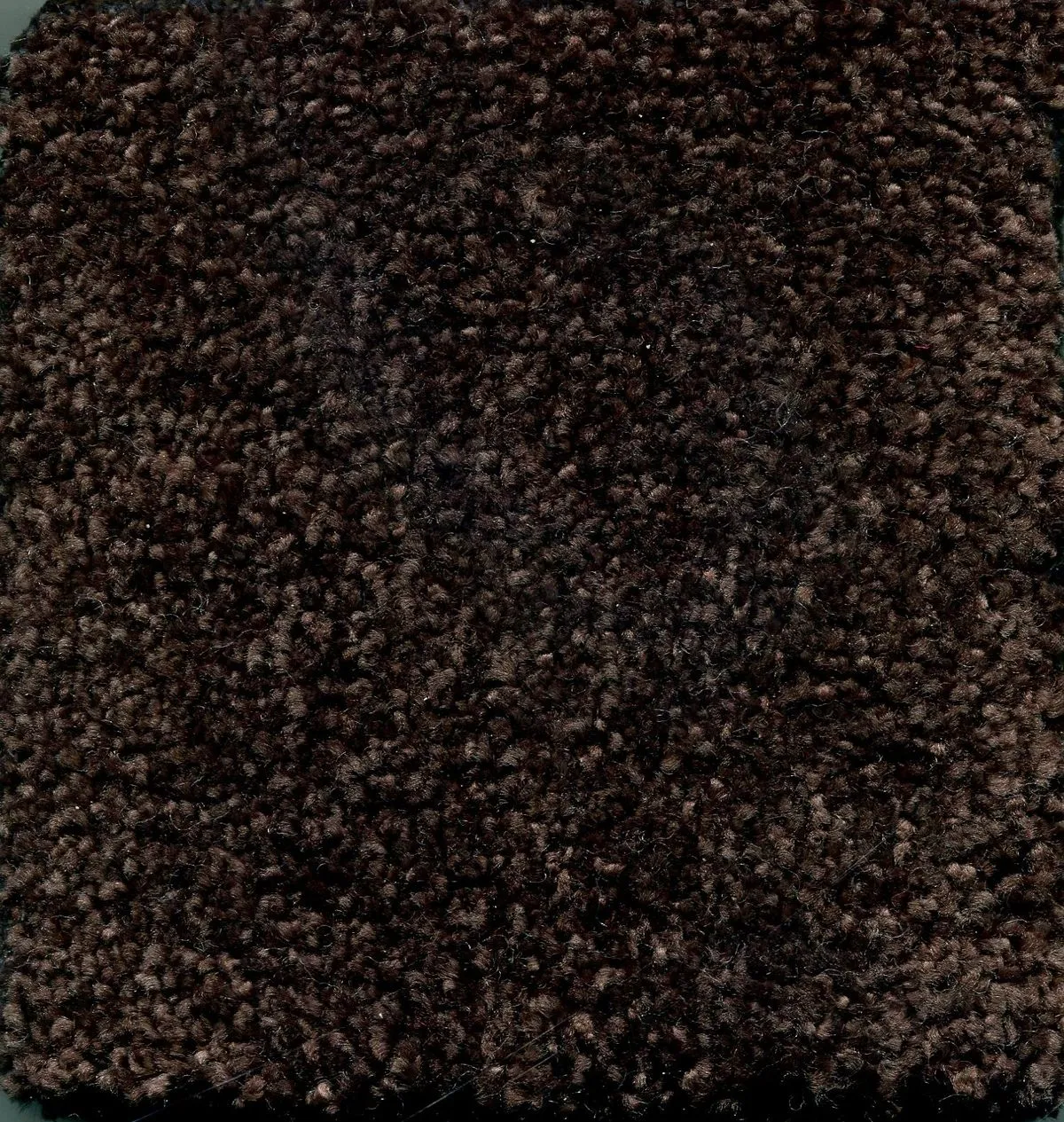Desert Sand Fango