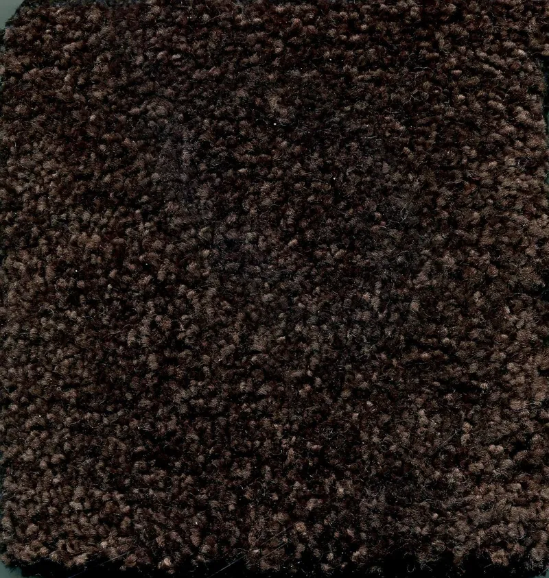Desert Sand Fango