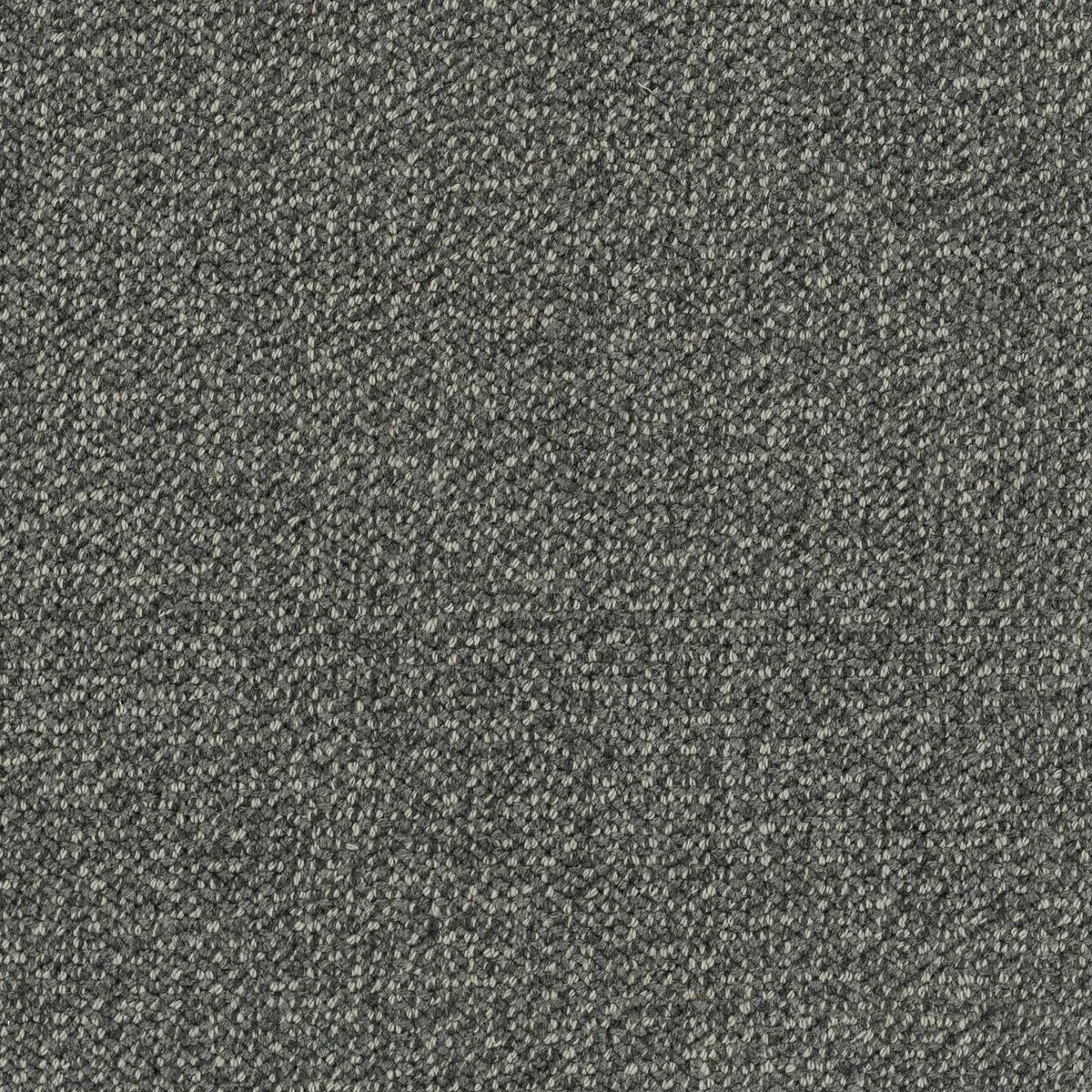 Marshfield Charcoal